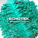 Echotek & Different Hosts - Cube Trip (Original Mix)