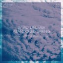 David Lindmer - Abandoned Spring