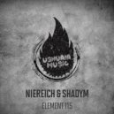 Niereich & Shadym - Element 115 (Original Mix)