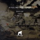 Disco Dip - A Feeling That I Know (Original mix)