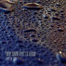 Deep Sound Effect & Leusin - End of Time (Vian Pelez Remix)