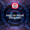 Dj Vl Raccoon - east terminal