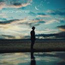 Signate - Somber Skies