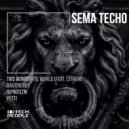 Sema Techo & Letaem - This Wonderful World (feat. Letaem)