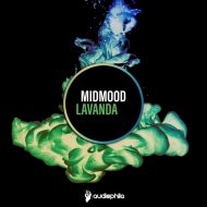 Midmood - White Life