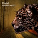 X.FeelinX - Apart from a Miracle
