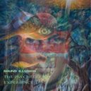 Sound-illusion - Tandava