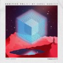 Robot Needs Oil - Kiwis Apples & Limes (Discodromo Remix)