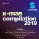 Davis Gruss - Swinger (Sean Random Remix)