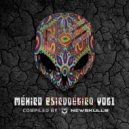 Akromode - Psychedelic Meal