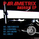 Parametrix - Control (Original Mix)
