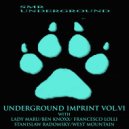 Stanislaw Radomsky - Le Manege (Original mix)