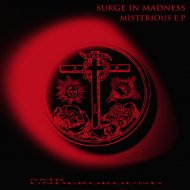 Surge In Madness - Wrong