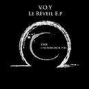 V.O.Y - Drop The Bass (Original mix)