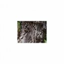 Mindfulness Healing Bgm Project - Garnet & Coping Skills (Original Mix)