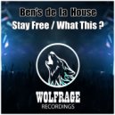 Ben\'s de la House - What This ? (Original Mix)