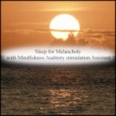 Mindfulness Auditory Stimulation Assistant - Plaza & Mindfulness (Original Mix)