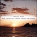 Mindfulness Auditory Stimulation Assistant - Map & Communication (Original Mix)