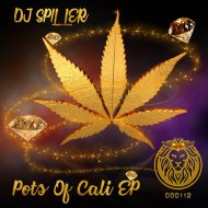 DJ Spiller - Chop It Up