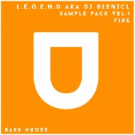 L.E.G.E.N.D. aka DJ Bionicl - Brass