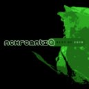 Destroyer - House In The Mirror