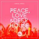 Bungle Run - Dreamer (Deep Sun Mix)