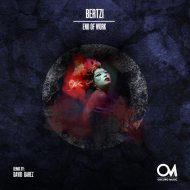 Bertzi - Lost In Music