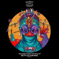 Seth Schwarz - Najura
