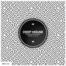 Delphunk & Mr.D.M.W.Max - The Rush (Pirupi Remix)