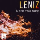 Leniz - Question My Love (Original Mix)