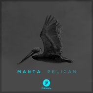 Manta - Pelican