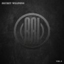 Bojan Vukmirovic - Coherent (Original Mix)