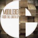 Modulo303 - From The Earth (Original Mix)