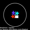 DeepVoicee - Together (Lewis Shephard Remix)