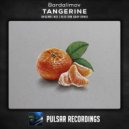 Bardalimov - Tangerine (Alex van Gray Remix)