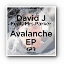 David J & Mrs.Parker - Avalanche (Dark Slide Dub)