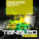 David Surok - Brickwall (Original Mix)