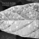 Pacius Elter - Inference (Original Mix)