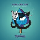 Chapter & Verse - Cool Like You
