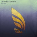 Liquidized Elements - Kasumi (Original Mix)