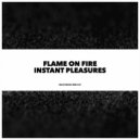 Flame On Fire - instant Pleasures (Original Mix)