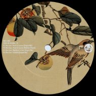 Nico Cano - Paseo En Lucerna