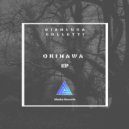 Gianluca Colletti - Shiver (Original mix)