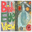 ALLEYS - Bird\'s Eye View ()