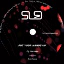 Dj Hermes - Put Your Hands Up
