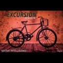 Native Intelligence - Smiley Beach Waves (Original Mix)