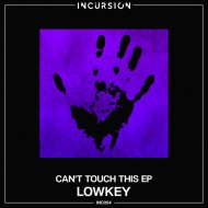 Lowkey - Feel The Fire