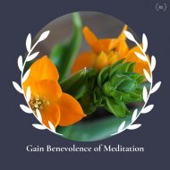 Annie Scott - Reinstating Soul