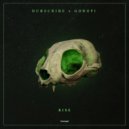 Dubscribe & goropi - rise (Original mix)
