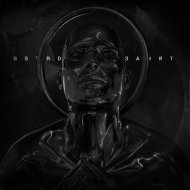 BSTRD - Занят